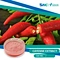 Health Benefits of Cayenne Pepper